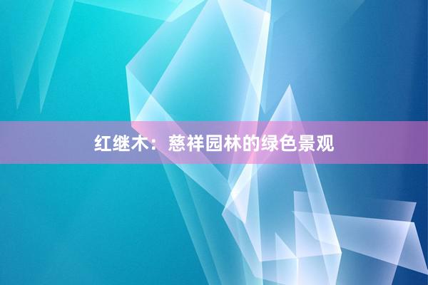 红继木：慈祥园林的绿色景观