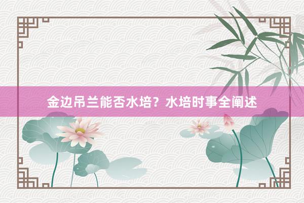 金边吊兰能否水培？水培时事全阐述