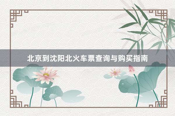 北京到沈阳北火车票查询与购买指南